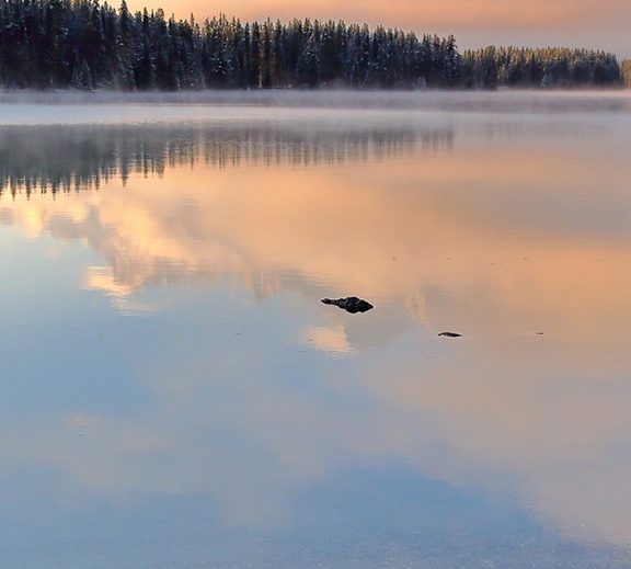 2022年粉象生活还能赚钱吗
