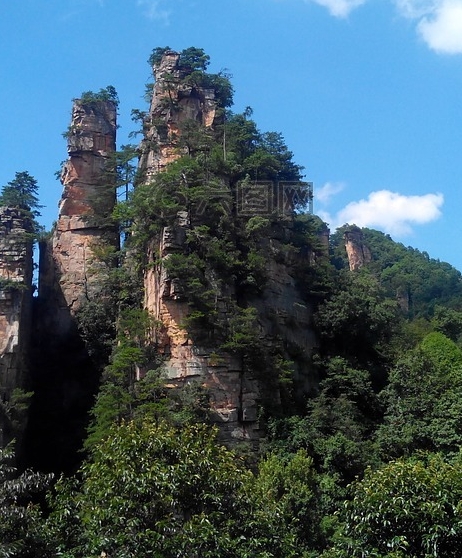 粉象生活在济南