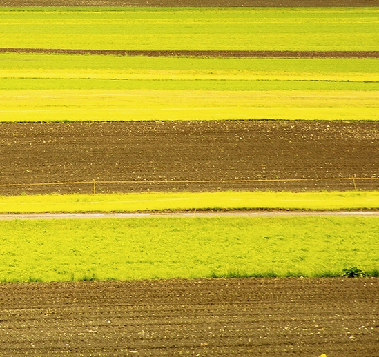 粉象生活vip网站