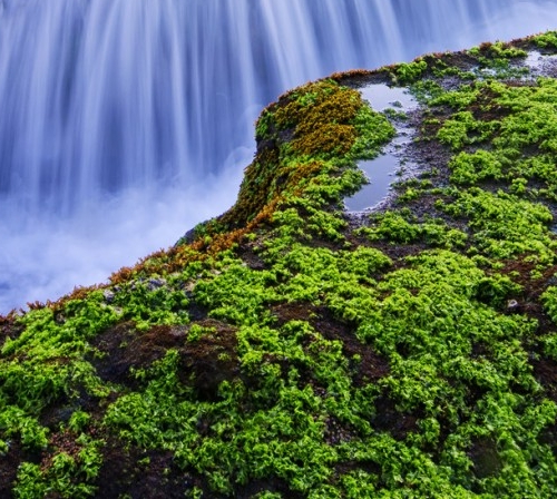 粉象生活等级和佣金