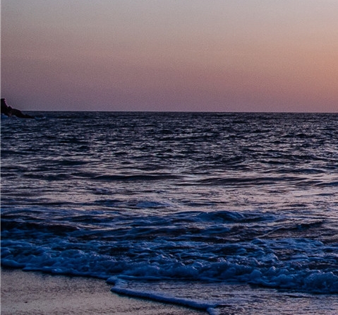 粉象生活怎么赚钱