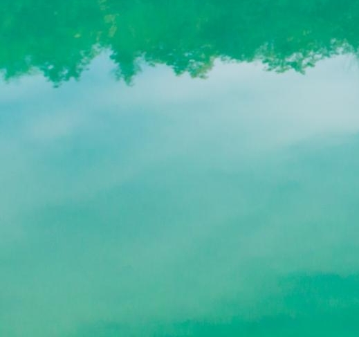 粉象生活可以赚钱吗