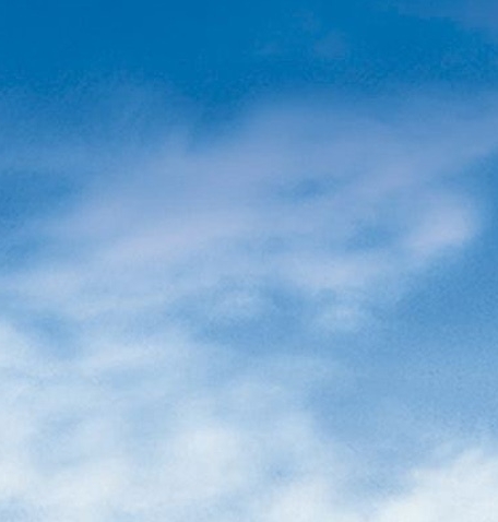 粉象生活下载app