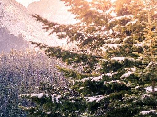 和生活爱辽宁是什么