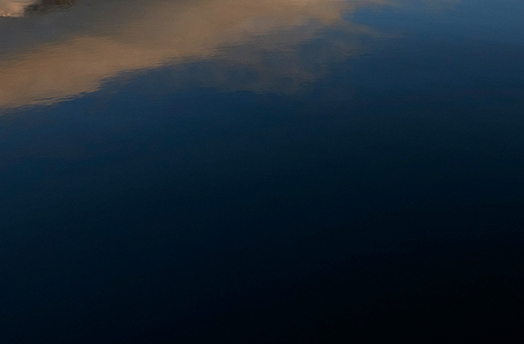 粉象生活
