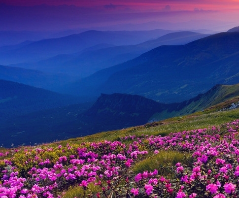 粉象生活的佣金怎么提现