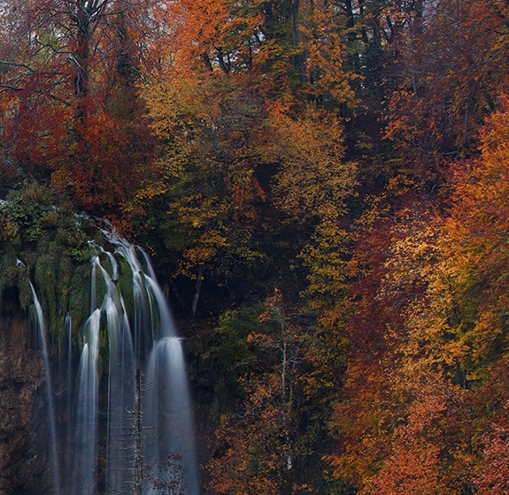 中山粉象生活加盟代理