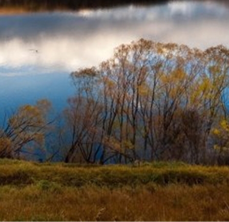 粉象生活最多可以卖多少钱