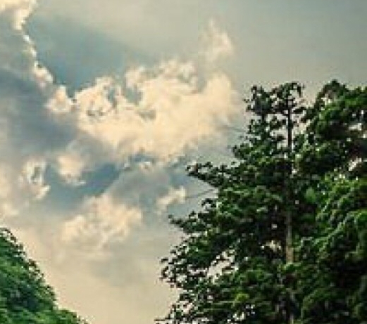 粉象生活app
