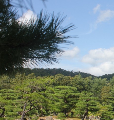 粉象生活下载app