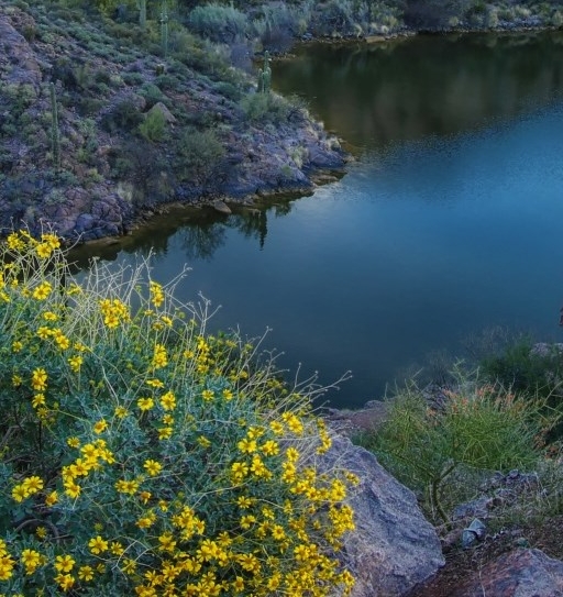 粉象生活的邀请码在哪里找