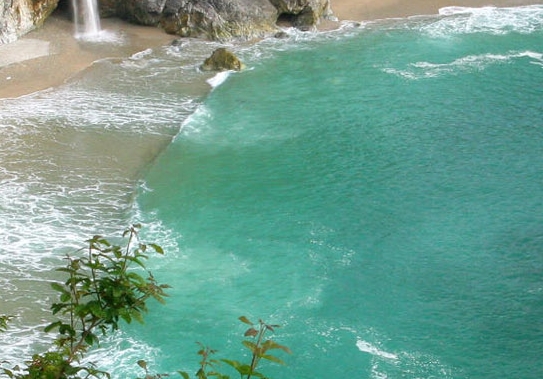 粉象生活 人均收益