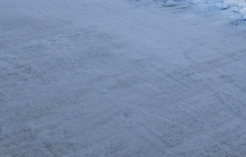 李红星粉象生活推荐