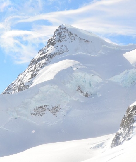 肯德基粉象生活