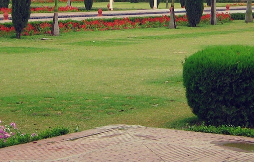 亳州学院地址在哪里
