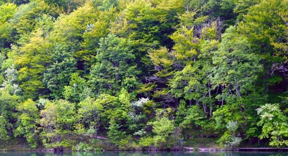 粉象生活怎么赚钱