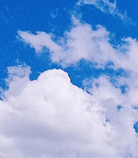 粉象生活骗局大揭秘