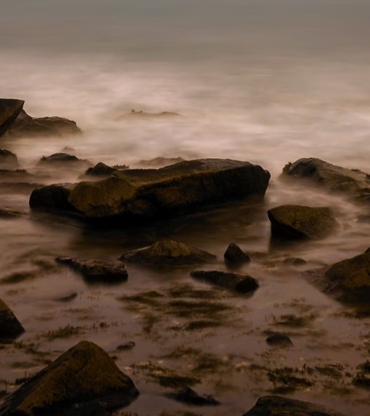 向日葵的象是哪个象