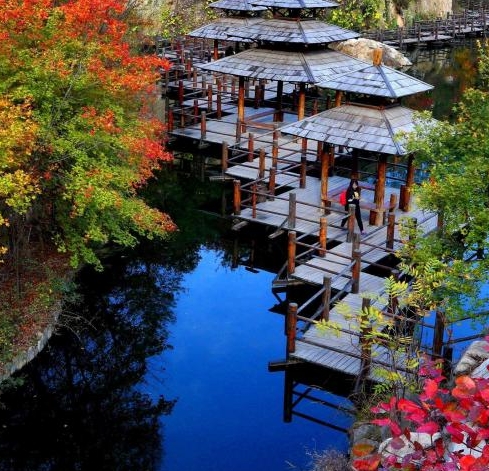 粉象生活与蜜源