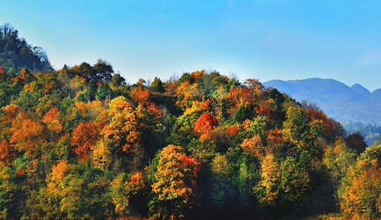 粉象生活 如何推广