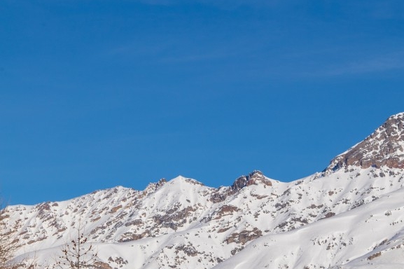 粉象生活怎么赚钱