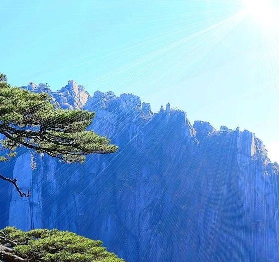 粉象生活公司简介