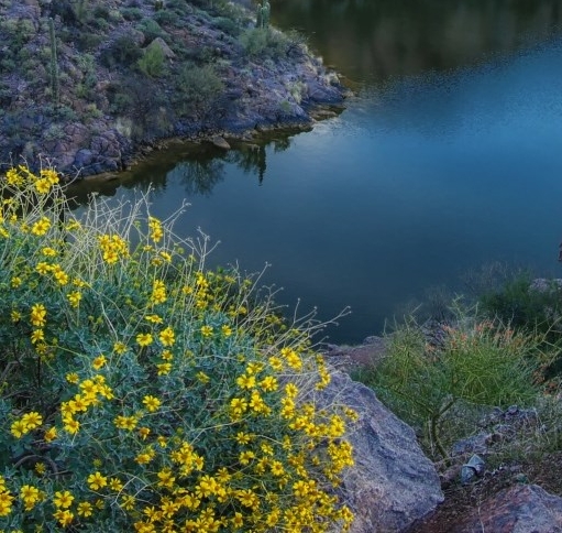 粉象生活邀请码