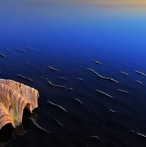 粉象这个平台合法吗