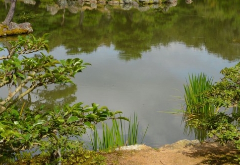 粉象生活下载app