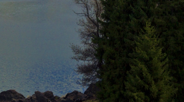 粉象生活下载app