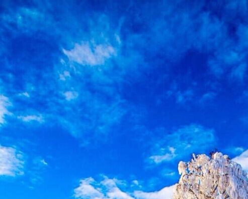 加入粉象生活需要交钱吗