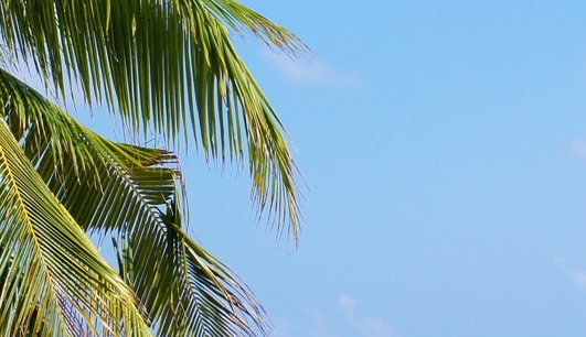 福州象园社区电话