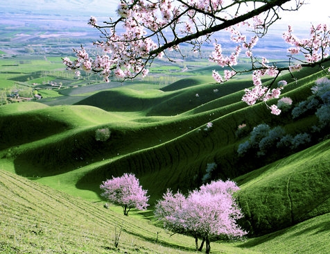 粉象生活李红星简历