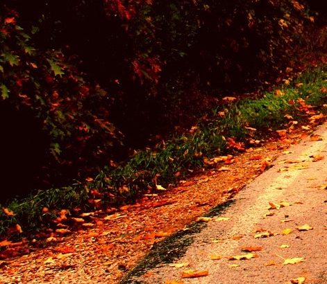 粉象生活官方邀请码哪一个是真的