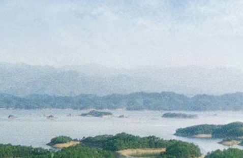今日粉象生活官方