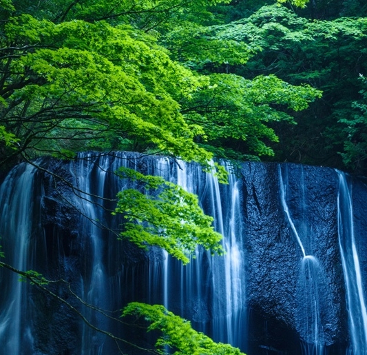 粉象生活优惠券群介绍