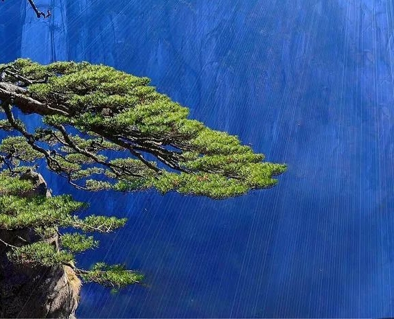 粉象生活可以赚钱吗