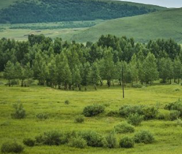 李红星 粉象生活
