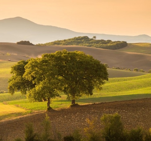 福州房建生活段电话