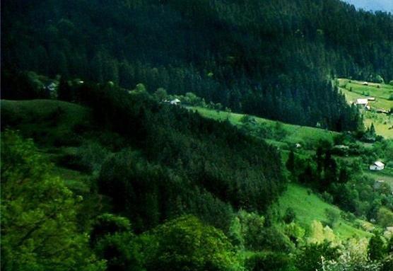 粉象生活的会员卡怎么用