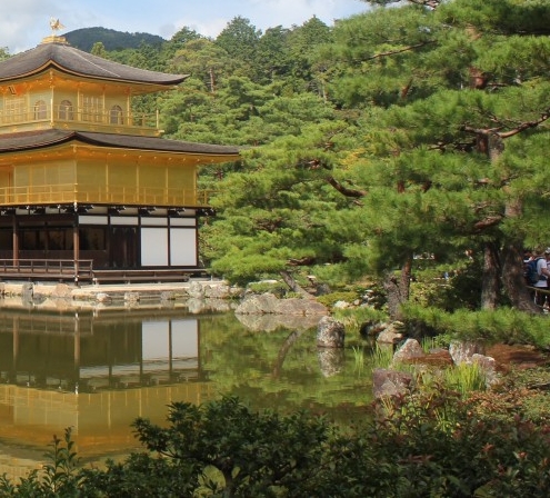 粉象生活开店怎么提现