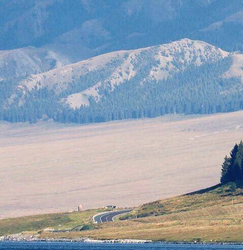 吉林运营粉象生活软件