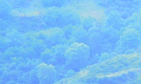 粉象生活可以赚钱吗