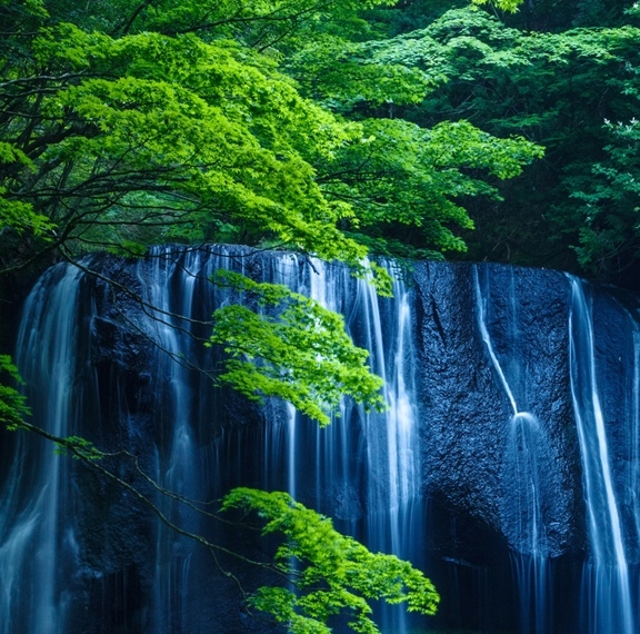 粉象生活