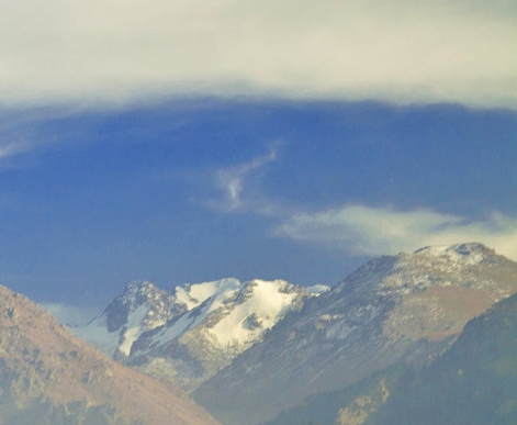 粉象生活官方原始邀请码