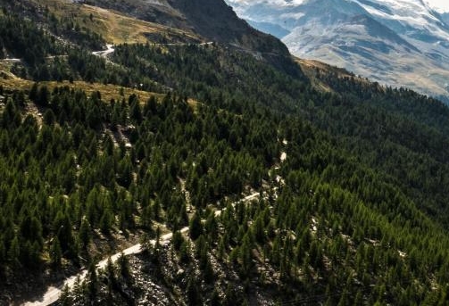 金华粉象生活邀请码