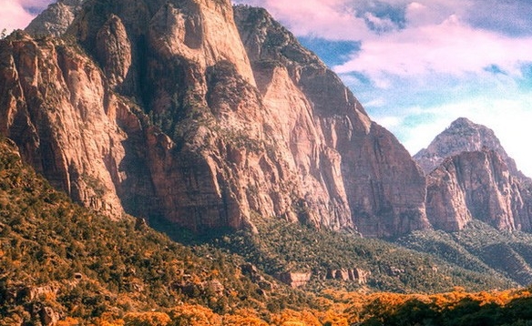 注册粉象生活能