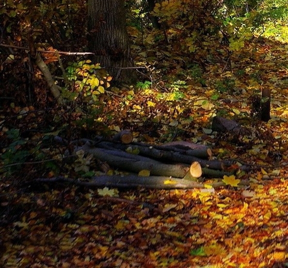 生活攻略会员卡怎么取消