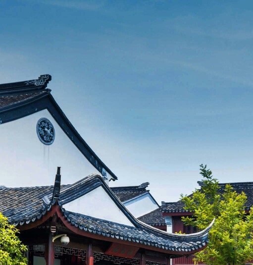 汕尾粉象生活