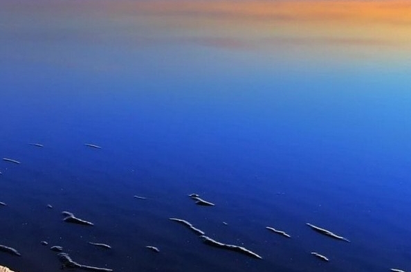 粉象生活的佣金在次月25日到底能不能提现